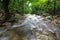 A clean water stream in rainforest