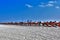 On the clean white sand of the beach, flags of red, black, white and green are lined up in rows.