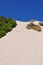 Clean white Sand dune with vegetation and regrowth