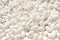 Clean White silkworm cocoons , use as background