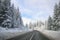 Clean winter road on mountain with turns and curve with trees un