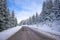 Clean winter road on mountain with turns and curve with trees under the snow