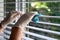 Cleaner removing dust from Venetian window blinds at home