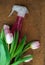 Cleaning Bottle in the Middle of Tulips Bouquet