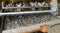 cleaning a cage with quails in a poultry house