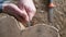 cleaning cracks on a wooden stump with a knife. peeling acacia bark. woodworking concept. wood texture