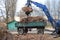 Cleaning dry branches and grass on city streets loading into truck trailer.