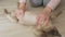 Cleaning floor with cute cat of burmese breed cat in woman hands sliding on home floor cleaning dust.