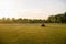 Cleaning football lawn. A man mowing the grass at the football stadium. Man on a tractor