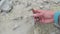 Cleaning fossilized belemnite in water. chalk quarry.