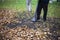 Cleaning leaves in the garden. A gardener uses an air turbine to blow dry leaves into one heap.