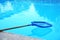 Cleaning outdoor pool with scoop net