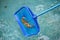 Cleaning swimming pool of fallen leaves with skimmer net tool