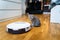 Cleaning theme, smart technology and pets. Automatic robot vacuum cleaner cleans the room, while gray Scotch kitten is