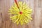 Cleaning tools on parquet floor