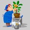 Cleaning woman washes houseplant