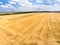 Clear agricultural field after cropping, yellow wheat lands with farming machinery, aerial view, Russia