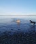 Clear beach dogs playing