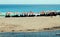 Clear blue sky, umbrellas and white sandy beach