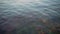 Clear blue wavy water on a summer day. The bottom of the sea is covered with multicolored algae.