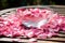 a clear bowl with floating aromatic rose petals