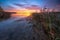 Clear Calm Lake with Reeds at Sunrise