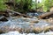 Clear Creek in Cimarron Canyon