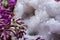 Clear Crystal Quartz Geode with crystalline druzy center surrounded by purple lilac flower.