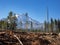 Clear cut logging near Mt. Shasta