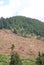 Clear cut logging slope,