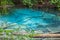 Clear emerald pond in tropical forest or Blue Pool.