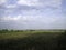 A clear field of agricultural land is densely overgrown with grass. There are clouds in the sky. The forest darkens on the horizon