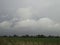 A clear field of agricultural land is densely overgrown with grass. There are clouds in the sky. The forest darkens on the horizon