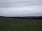 A clear field of agricultural land is densely overgrown with grass. There are clouds in the sky. The forest darkens on the horizon