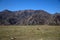 Clear field forming a valley, stretched among the mountains