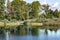 Clear forest lake with a crane soaring over the water near Sangaste Castle