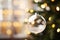 Clear glass festive bauble decoration hanging from a christmas tree branch