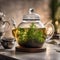 A clear glass teapot brewing a fragrant herbal infusion with steam rising1