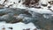 A clear mountain stream runs through a beautiful gorge. Amazing view of a stormy mountain river in the snow.