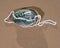 Clear Quartz Tumbled Chips Necklace presented on abalone shell on the beach