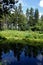 Clear Reflection of Pine Forest in Deep Blue Pond