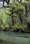 Clear river in Fiordland National Park, South Island, New Zealand