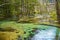 The Clear river in the Kamikochi forest.