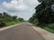 A clear road with rich vegetation