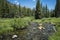 Clear Rocky Mountain Stream