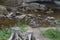 Clear running creek through a canyon