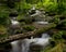 Clear running stream in the smoky mountians