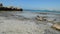 Clear sea water texture, top view of the rocky bottom.