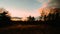 A Clear Sky Over a Silhouetted Forest