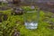 Clear small drinking glass in the middle of green nature landscape